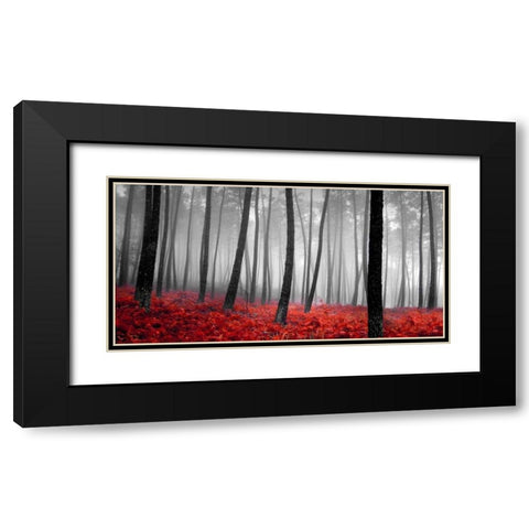 Autumn Woods Black Modern Wood Framed Art Print with Double Matting by PhotoINC Studio