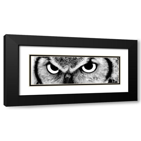 Owl Black Modern Wood Framed Art Print with Double Matting by PhotoINC Studio