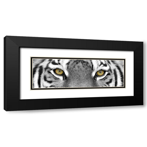 Tiger Black Modern Wood Framed Art Print with Double Matting by PhotoINC Studio