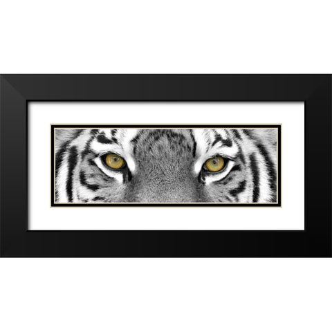 Tiger Black Modern Wood Framed Art Print with Double Matting by PhotoINC Studio