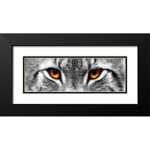 Lynx Black Modern Wood Framed Art Print with Double Matting by PhotoINC Studio