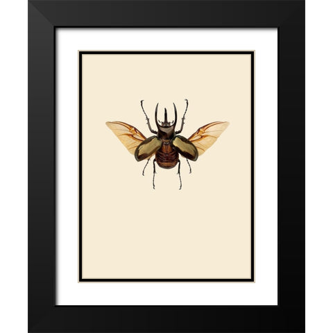 Chalcosoma atlas Black Modern Wood Framed Art Print with Double Matting by Incado