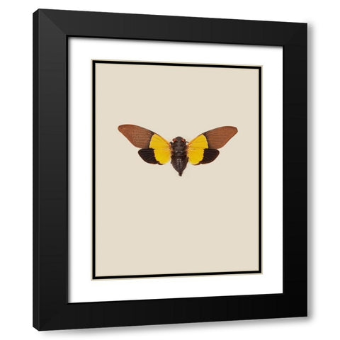 Cicada Black Modern Wood Framed Art Print with Double Matting by Incado
