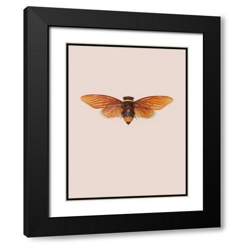 Dineutus Black Modern Wood Framed Art Print with Double Matting by Incado