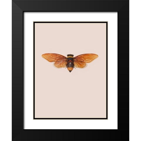 Dineutus Black Modern Wood Framed Art Print with Double Matting by Incado