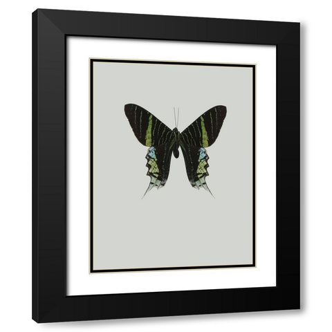 Green butterfly Black Modern Wood Framed Art Print with Double Matting by Incado