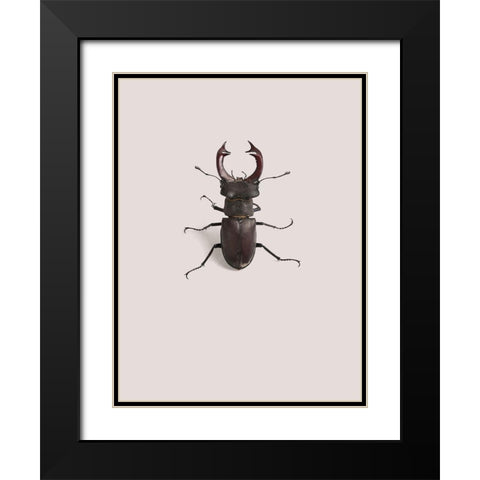 Lucanus cervus Black Modern Wood Framed Art Print with Double Matting by Incado