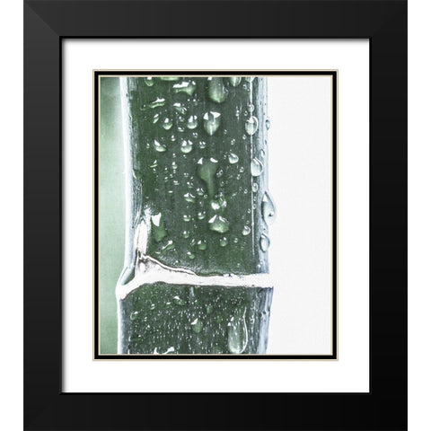 Close up V Black Modern Wood Framed Art Print with Double Matting by Incado