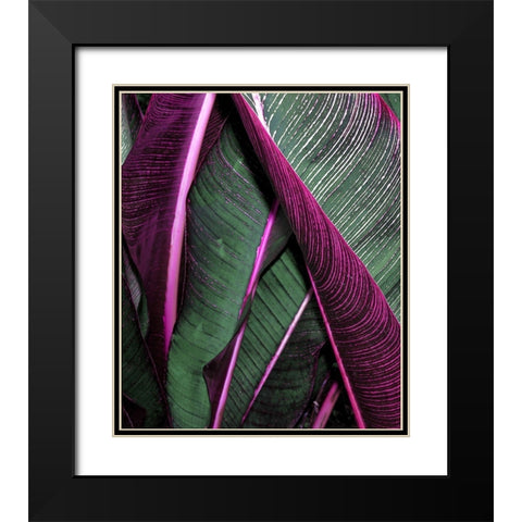 Close up VII Black Modern Wood Framed Art Print with Double Matting by Incado