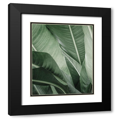 Close up X Black Modern Wood Framed Art Print with Double Matting by Incado