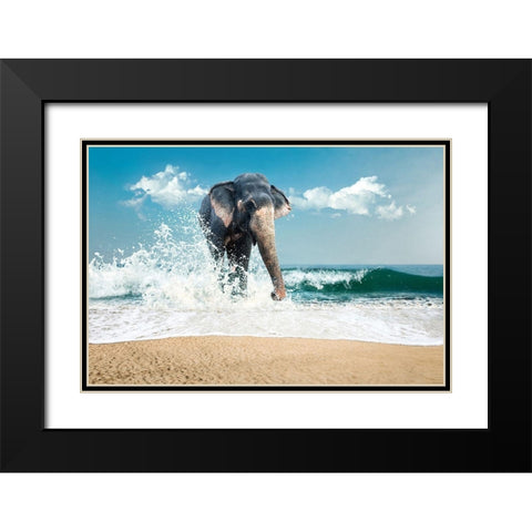 Elephant Black Modern Wood Framed Art Print with Double Matting by PhotoINC Studio