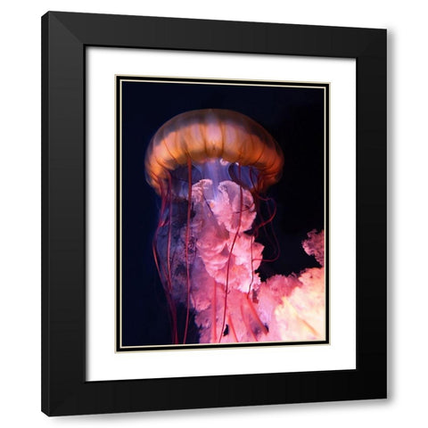 Gelly Black Modern Wood Framed Art Print with Double Matting by PhotoINC Studio