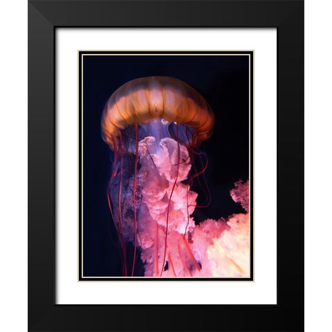 Gelly Black Modern Wood Framed Art Print with Double Matting by PhotoINC Studio
