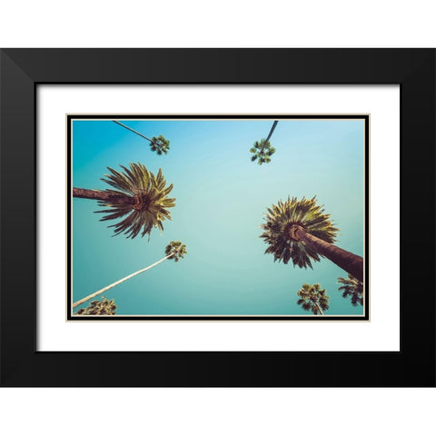 Palms Black Modern Wood Framed Art Print with Double Matting by PhotoINC Studio