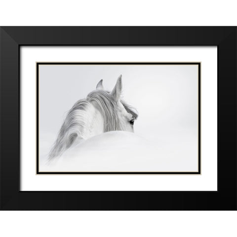 White Horse Black Modern Wood Framed Art Print with Double Matting by PhotoINC Studio