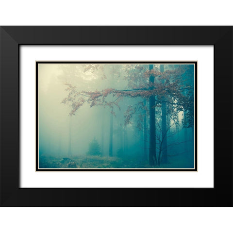 Woods Black Modern Wood Framed Art Print with Double Matting by PhotoINC Studio