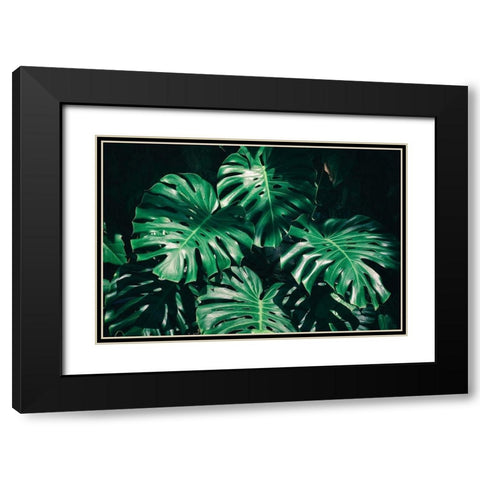 Tropical Black Modern Wood Framed Art Print with Double Matting by PhotoINC Studio