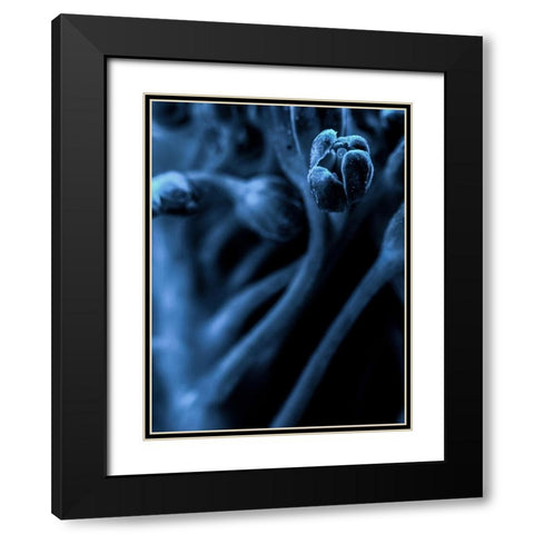 Leaf VIII Black Modern Wood Framed Art Print with Double Matting by Incado