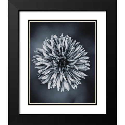 Autumn I Black Modern Wood Framed Art Print with Double Matting by Incado