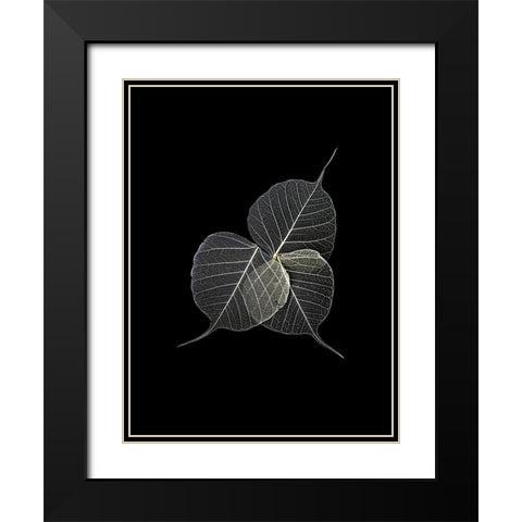 Dark Leaves Black Modern Wood Framed Art Print with Double Matting by Incado