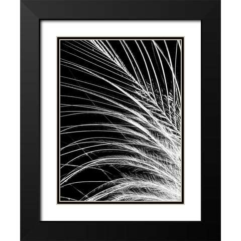 White Feather Black Modern Wood Framed Art Print with Double Matting by Incado