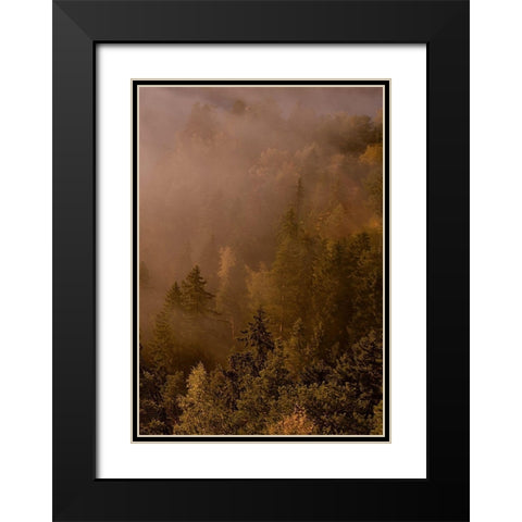 Autumn Forest Black Modern Wood Framed Art Print with Double Matting by PhotoINC Studio