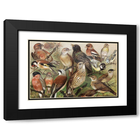 Collection I Black Modern Wood Framed Art Print with Double Matting by PhotoINC Studio