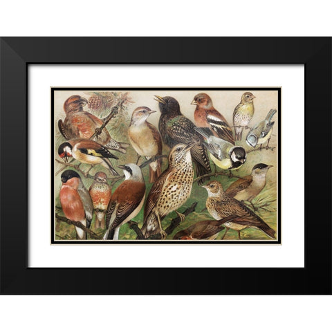 Collection I Black Modern Wood Framed Art Print with Double Matting by PhotoINC Studio