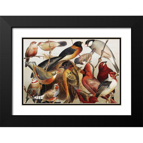 Collection II Black Modern Wood Framed Art Print with Double Matting by PhotoINC Studio