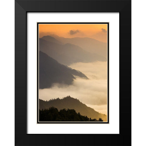 Dusty morning Black Modern Wood Framed Art Print with Double Matting by PhotoINC Studio