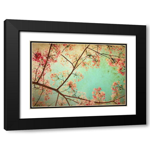 Flamboyant I Black Modern Wood Framed Art Print with Double Matting by PhotoINC Studio