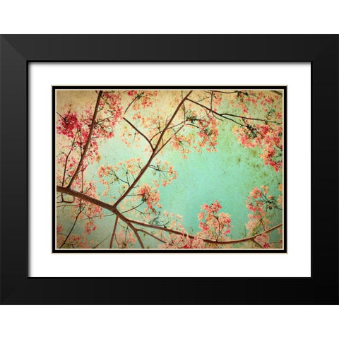 Flamboyant I Black Modern Wood Framed Art Print with Double Matting by PhotoINC Studio