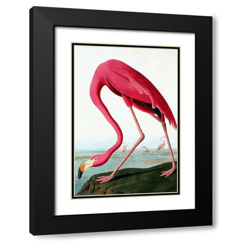 Flamingo Black Modern Wood Framed Art Print with Double Matting by Incado