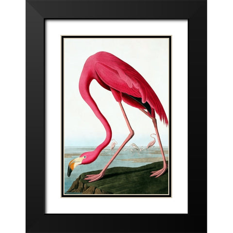 Flamingo Black Modern Wood Framed Art Print with Double Matting by Incado