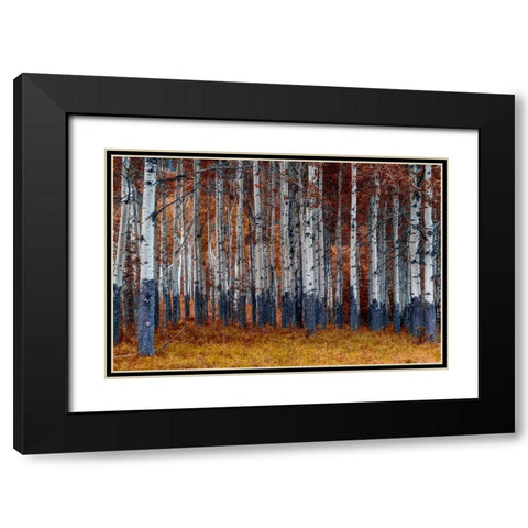 Autumn Forest Black Modern Wood Framed Art Print with Double Matting by Kostka, Vladimir