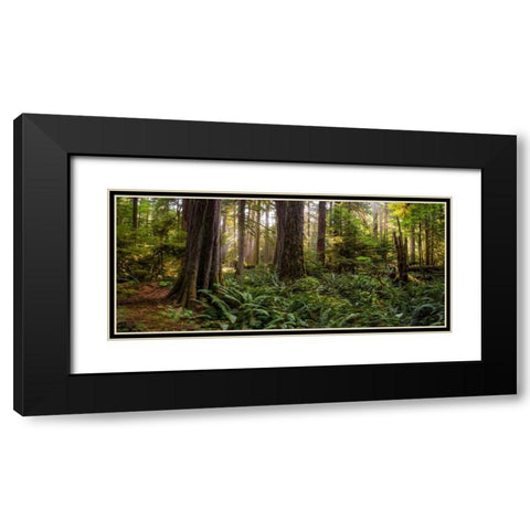 Cathedral Forest Black Modern Wood Framed Art Print with Double Matting by Kostka, Vladimir