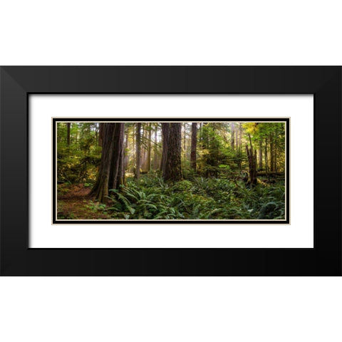 Cathedral Forest Black Modern Wood Framed Art Print with Double Matting by Kostka, Vladimir