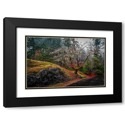 On the Road Black Modern Wood Framed Art Print with Double Matting by Kostka, Vladimir