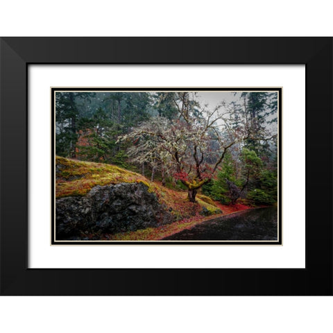 On the Road Black Modern Wood Framed Art Print with Double Matting by Kostka, Vladimir