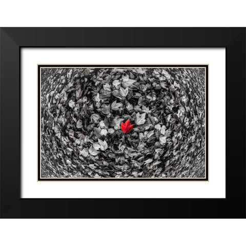 Alone Black Modern Wood Framed Art Print with Double Matting by Kostka, Vladimir