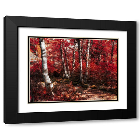 Red Trees Path Black Modern Wood Framed Art Print with Double Matting by Kostka, Vladimir