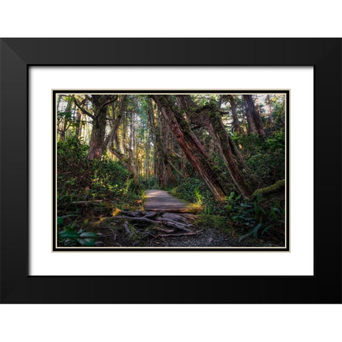 The Path Black Modern Wood Framed Art Print with Double Matting by Kostka, Vladimir