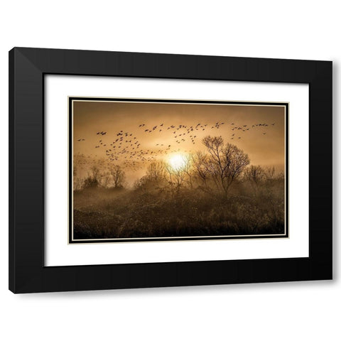 The Flight Black Modern Wood Framed Art Print with Double Matting by Kostka, Vladimir