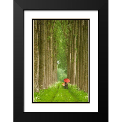Two Umbrellas, Belgium Black Modern Wood Framed Art Print with Double Matting by Klug, Alan