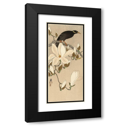 Myna on Magnolia Branch, 1900-1910 Black Modern Wood Framed Art Print with Double Matting by Koson, Ohara