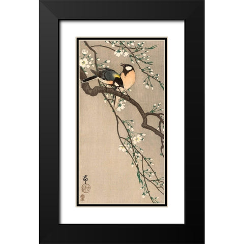 Songbirds on Cherry Branch, 1900-1910 Black Modern Wood Framed Art Print with Double Matting by Koson, Ohara