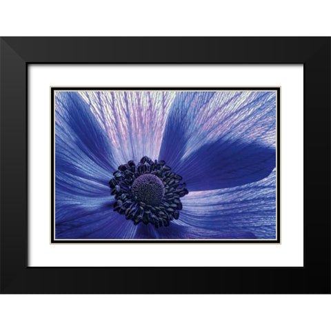 Windsong Black Modern Wood Framed Art Print with Double Matting by LeBlanc, Dawn