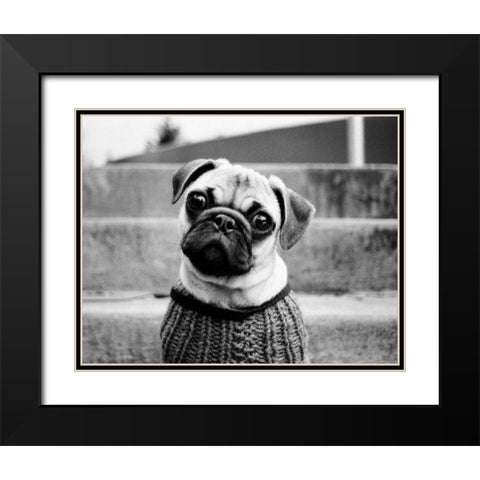 Cleo Black Modern Wood Framed Art Print with Double Matting by Levin, Kim
