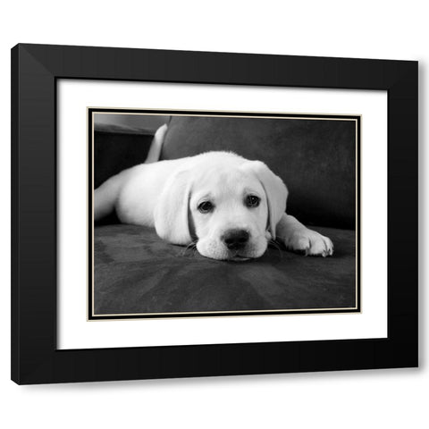 Finn Black Modern Wood Framed Art Print with Double Matting by Levin, Kim