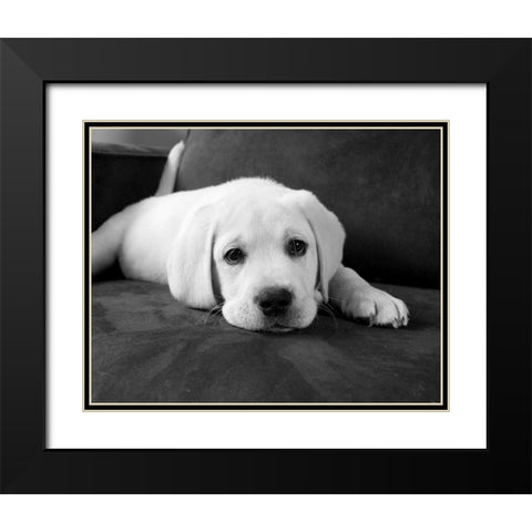 Finn Black Modern Wood Framed Art Print with Double Matting by Levin, Kim